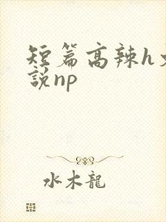 短篇高辣h文小说np