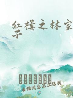 红楼之林家庶长子