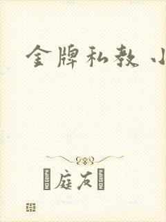 金牌私教 小说