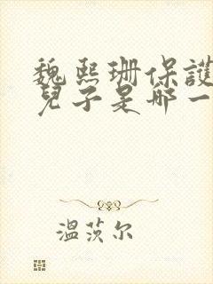 魏熙珊保护萧峥儿子是哪一集