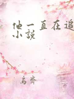 他一直在追初恋小说