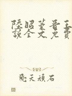 陆昭菱晋王的小说全文免费阅读