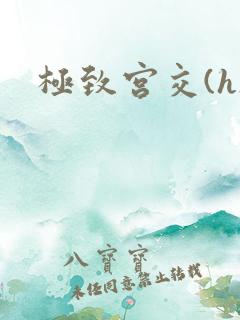 极致宫交(h)