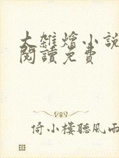 大杂烩小说全集阅读免费