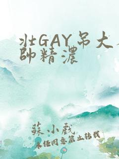 壮GAY吊大人帅精浓