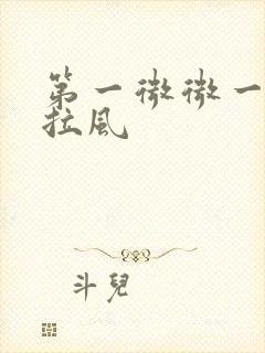 第一微微一笑很拉风