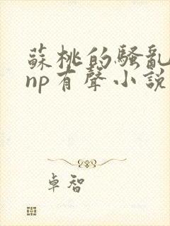 苏桃的骚乱文肉np有声小说