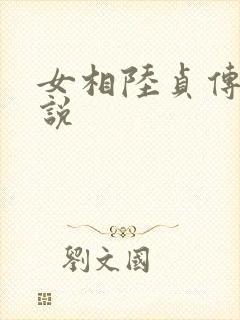 女相陆贞传奇小说