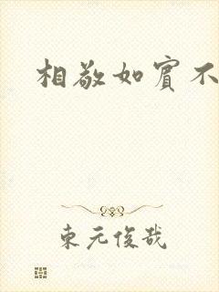 相敬如宾不相睹