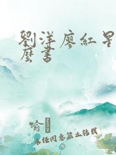 刘洋廖红星是什么书