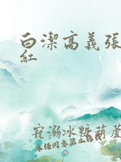 白洁高义张敏梅红