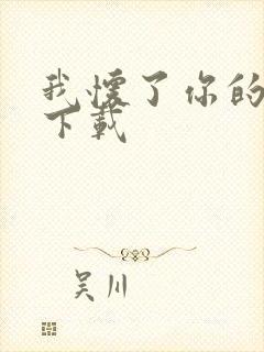 我怀了你的孩子下载