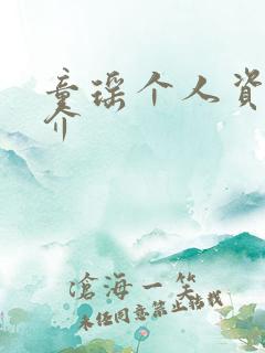 童瑶个人资料简介