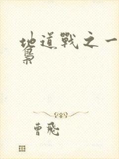 地道战之一代功枭