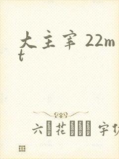 大主宰 22mt