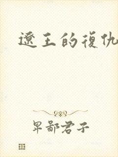 辽王的复仇小妾