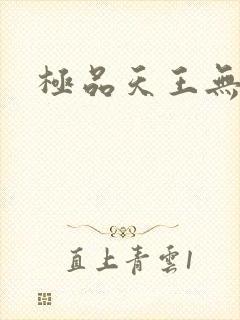 极品天王无弹窗