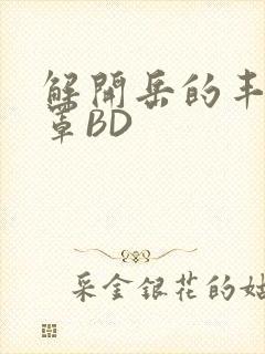 解开岳的丰满奶罩BD