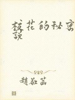 校花的秘密 小说