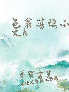 色翁荡熄小说全文h