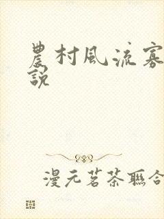 农村风流寡妇小说