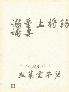 溺爱上将的宝贝娇妻