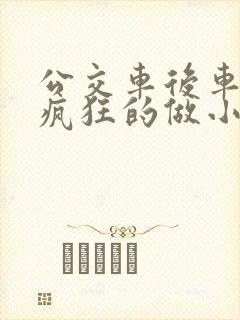 公交车后车座的疯狂的做小