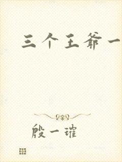 三个王爷一个妃