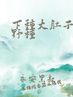 下种大肚子怀孕野种