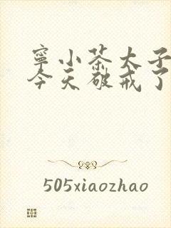 宁小茶太子殿下今天破戒了吗免费阅读