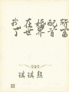 我在婚配所摇到了世界首富小说