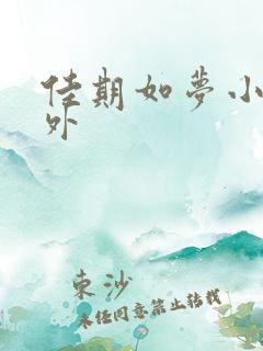 佳期如梦小说番外