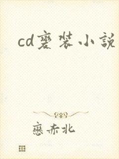 cd变装小说