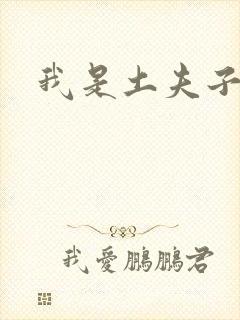 我是土夫子
