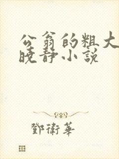 公翁的粗大放进晓静小说
