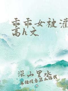 乖乖女被灌满精高h文