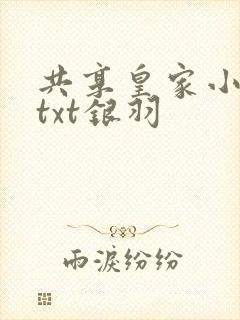 共享皇家小公主txt银羽