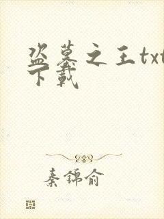 盗墓之王txt下载