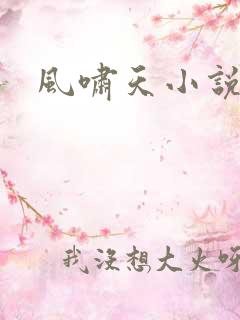 风啸天小说