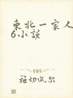 东北一家人1一6小说