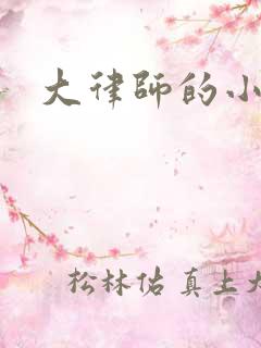 大律师的小老婆