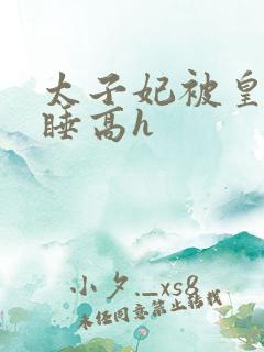 太子妃被皇上强睡高h