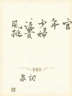 风流少年官途情挑贵妇