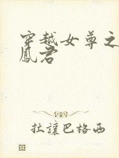 穿越女尊之吾为凤君