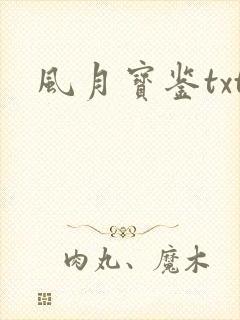 风月宝鉴txt