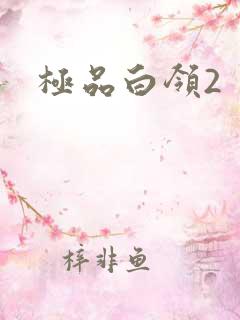 极品白领2