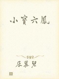 小宝六凤