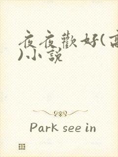 夜夜欢好(高h)小说
