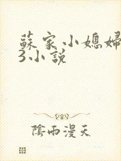 苏家小媳妇1V3小说