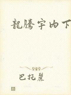 龙腾宇内下载